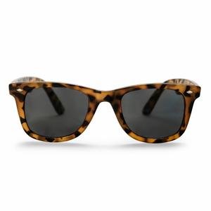 16131pg-sunglasses-chpo-brand-noway-medium-turtle-brown-black-one-size