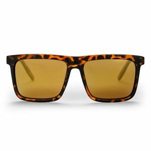 16132hd-sunglasses-chpo-brand-bruce-large-turtle-brown-gold-one-size