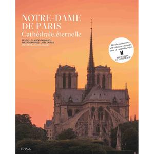 kb855booknotredamed-book-our-dame-of-paris-kubbick-gray-green-28-63x2-74x34-65-cm
